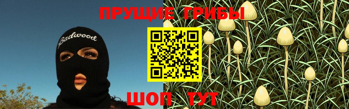 сколько стоит  Вход с VPN  Черняховск  Псилоцибиновые грибы Magic Shrooms 