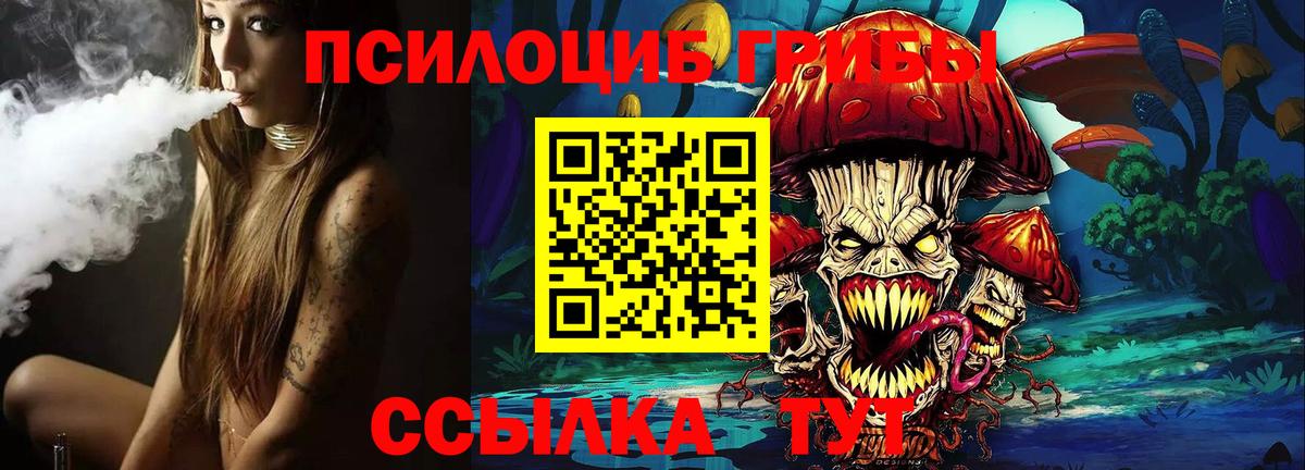 Галлюциногенные грибы MAGIC MUSHROOMS Черняховск